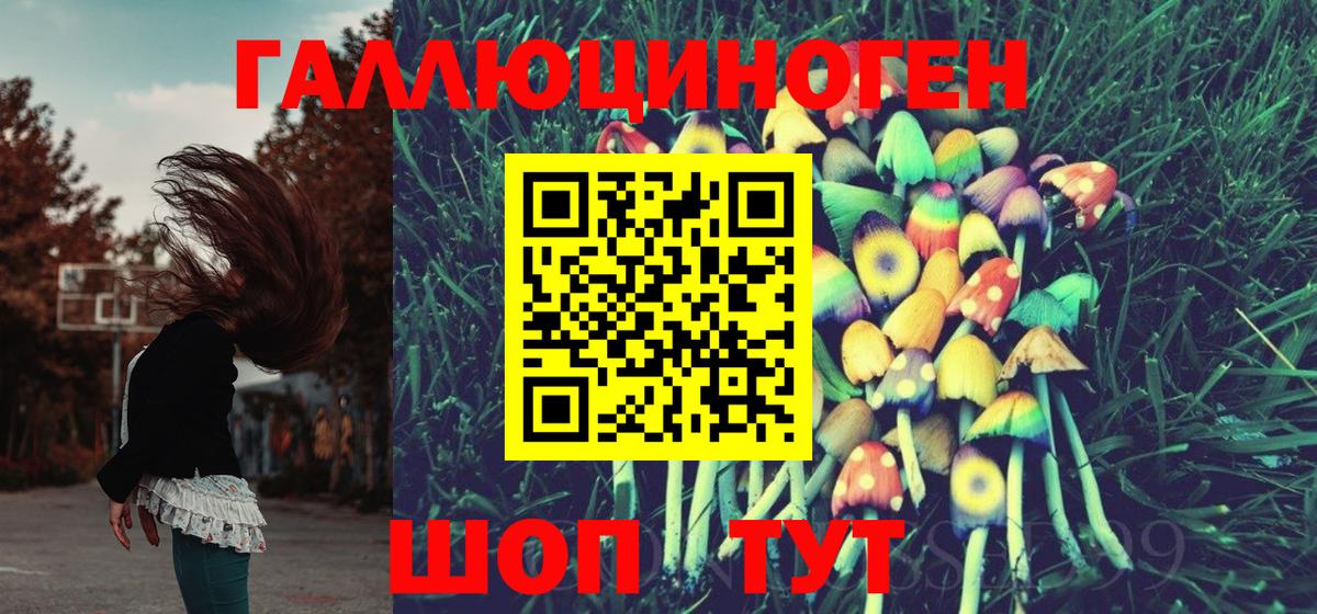 Кисловодск  Псилоцибиновые грибы MAGIC MUSHROOMS  Вход с VPN 